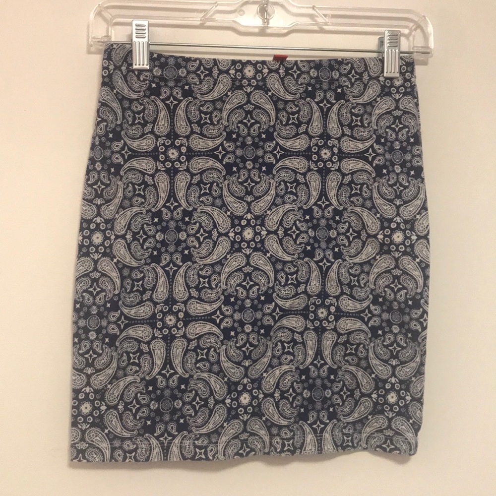 Paisley Skirt